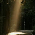 O julgamento de Deus no Antigo Testamento – EBD Hoje