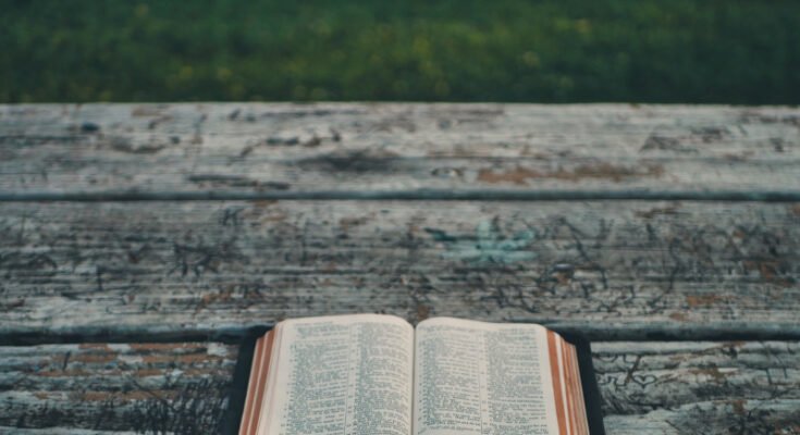 O que João 1 me ensinou sobre quem Jesus é – EBD Hoje