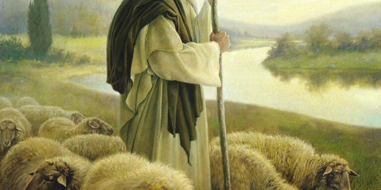 Sua Igreja Não Precisa de Mais Fãs – EBD Hoje