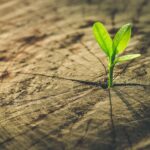 Como transformar problemas em oportunidades – EBD Hoje