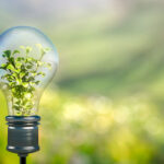 O que é regeneração? – EBD Hoje