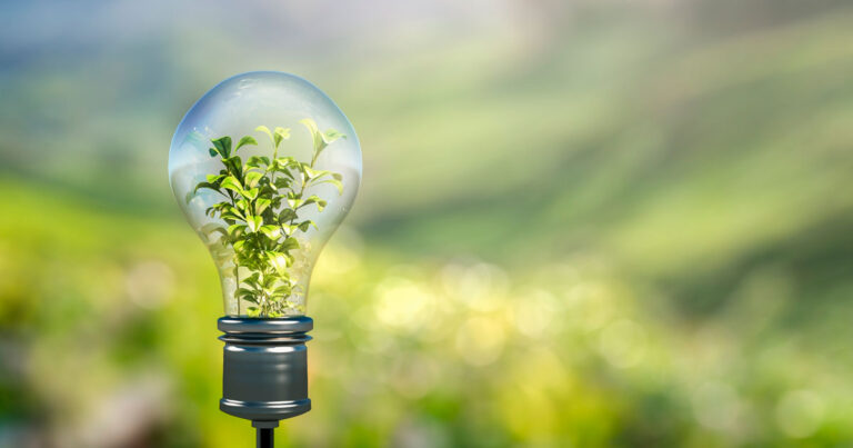 O que é regeneração? – EBD Hoje