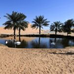 Um oásis para sua alma – EBD Hoje