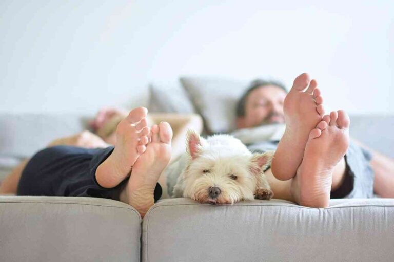 Trate-se com a voz de Deus – EBD Hoje