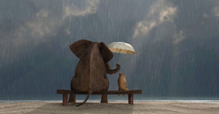 8 Razões para ainda dar glória a Deus em minha tempestade pessoal – EBD Hoje