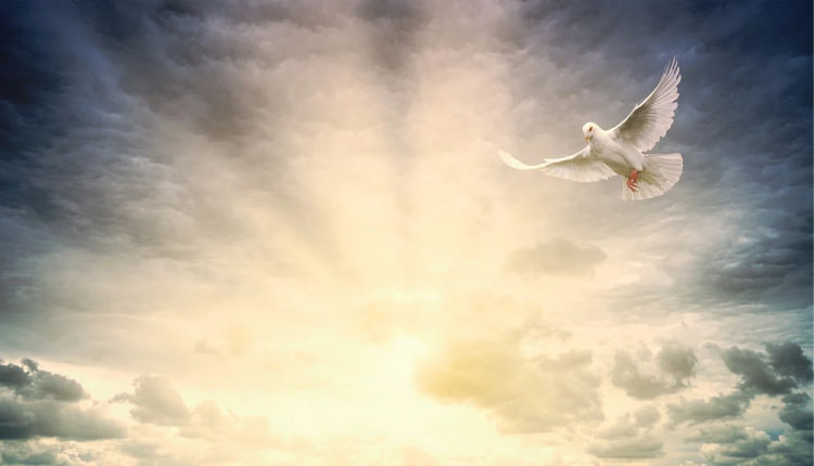 6 razões pelas quais nossa adoração vale a pena – EBD Hoje