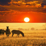 O que significa confiar em Jesus como nosso noivo celestial – EBD Hoje