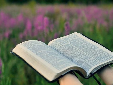 O que fazer quando você pensa que foi feito para algo mais – EBD Hoje