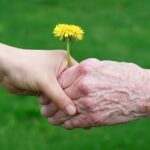 10 Coisas que você deve saber sobre o Jardim do Éden – EBD Hoje