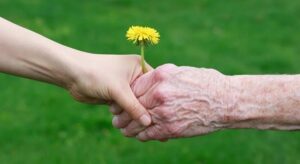10 Coisas que você deve saber sobre o Jardim do Éden – EBD Hoje