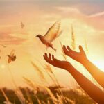 4 Respostas diferentes que um semeador da palavra de Deus vê – EBD Hoje