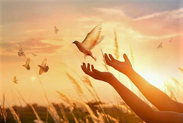 22105 2 1 EBD Hoje - Escola Dominical 4 Respostas diferentes que um semeador da palavra de Deus vê - EBD Hoje 4 Respostas diferentes que um semeador da palavra de Deus vê – EBD Hoje