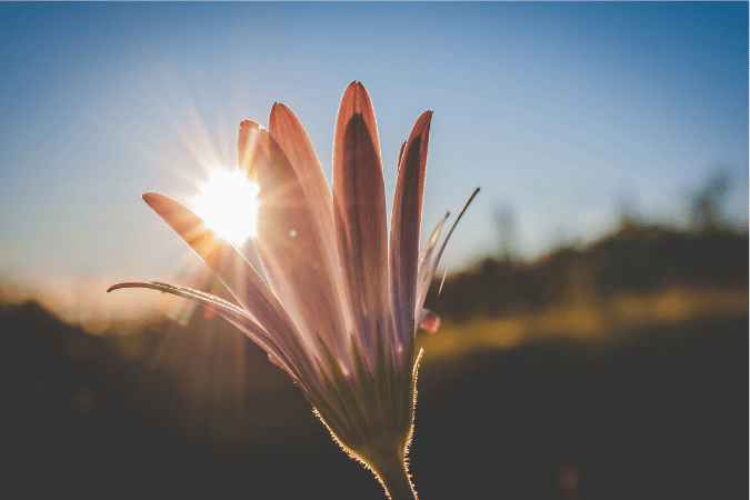 Aglomerados de esperança – EBD Hoje