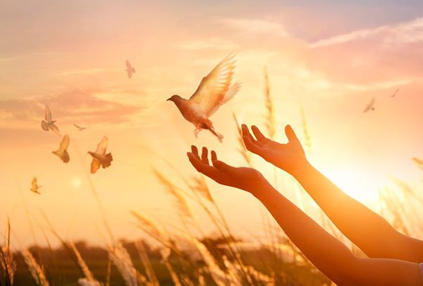 Como ser cheio do Espírito – EBD Hoje