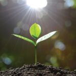 Qual a sua desculpa para não crescer Espiritualmente? – EBD Hoje