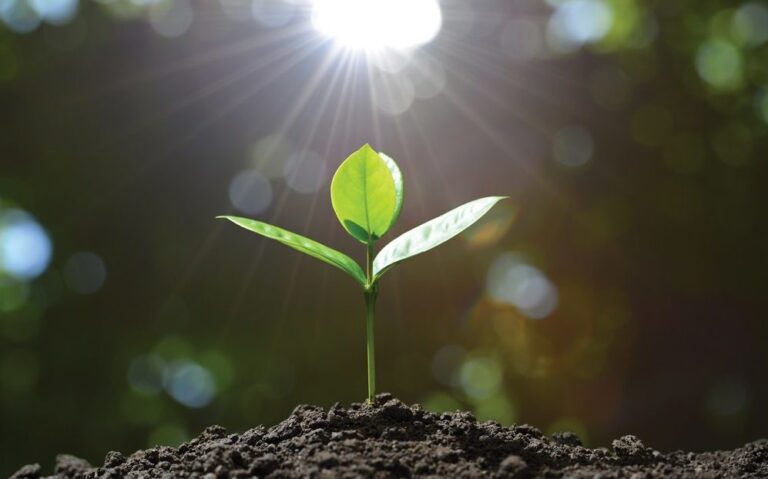 Qual a sua desculpa para não crescer Espiritualmente? – EBD Hoje