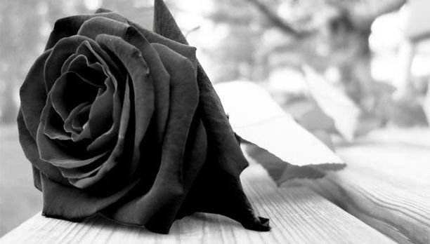 Maneiras para se preparar após um luto – EBD Hoje