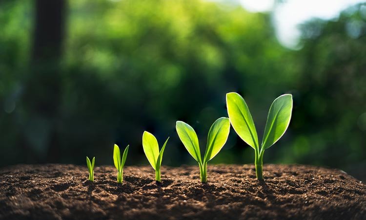 Crescimento Espiritual – EBD Hoje