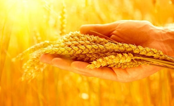 9 Versículos sobre Oferta – EBD Hoje