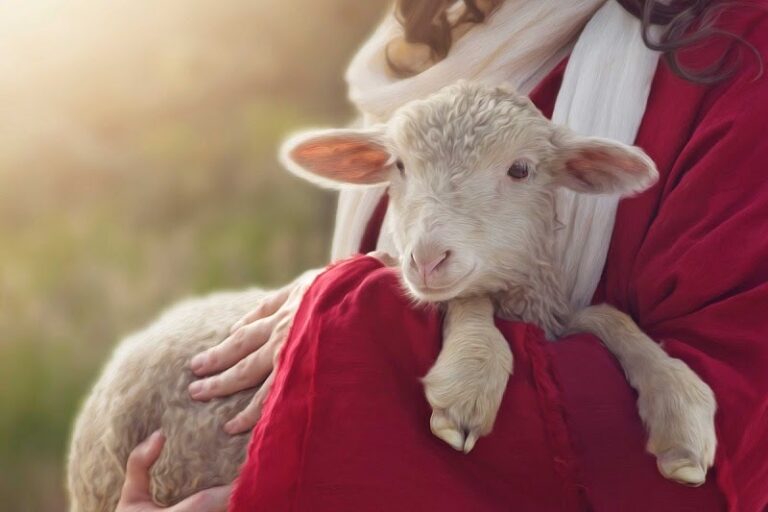 10 Versículos sobre a Ovelha Perdida – EBD Hoje